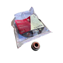 Load image into Gallery viewer, Valve Stem Seal Set - Bukhanka (Classic 2.4L &amp; 2.9L), Hunter &amp; 469 OEM 24-1007036 - - UAZ spare parts